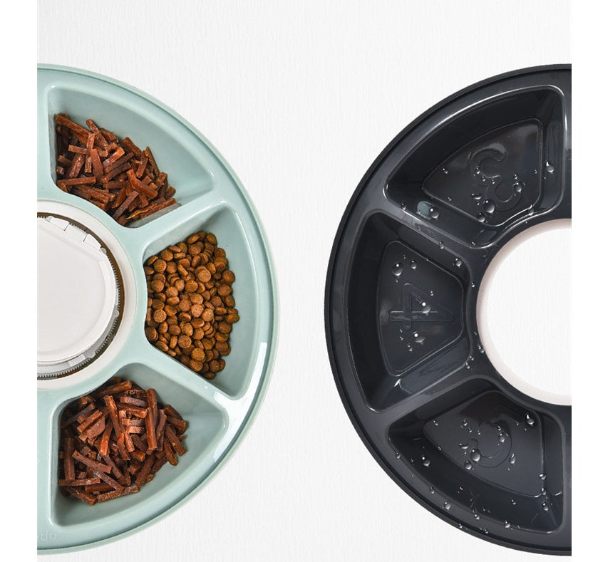 Intelligent Timed Pet Feeder