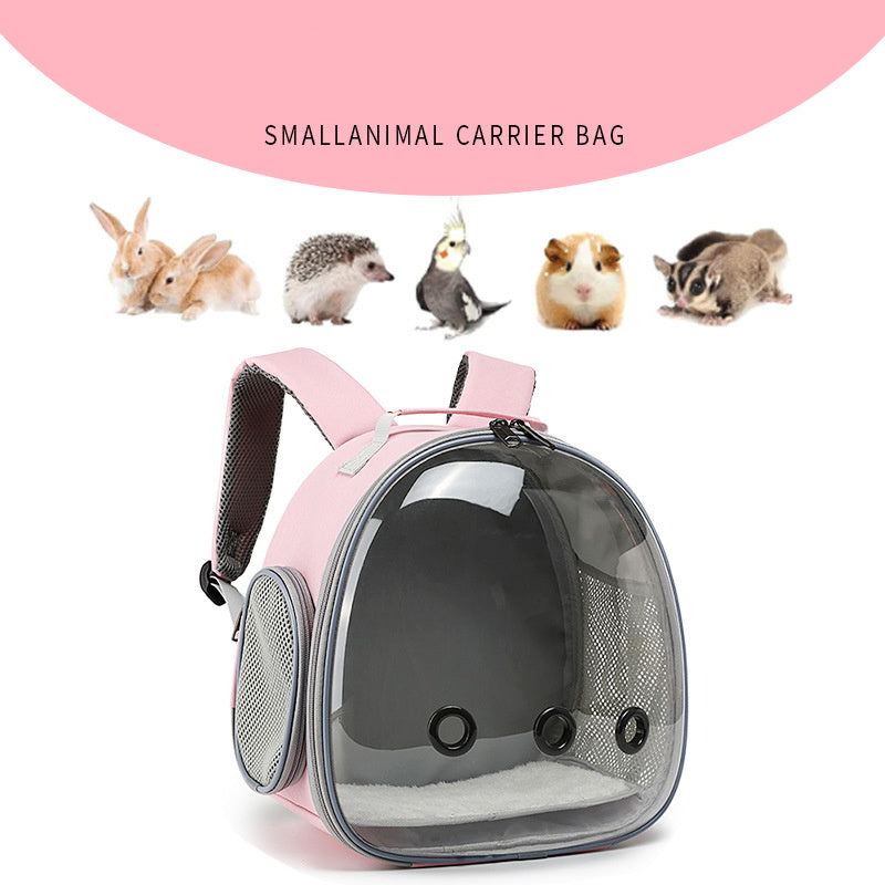 Transparent Pet Backpack. Safe, Cozy Carrier for Small Animals