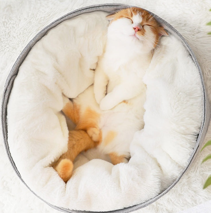 Comfy Pet Bed