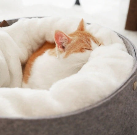Comfy Pet Bed