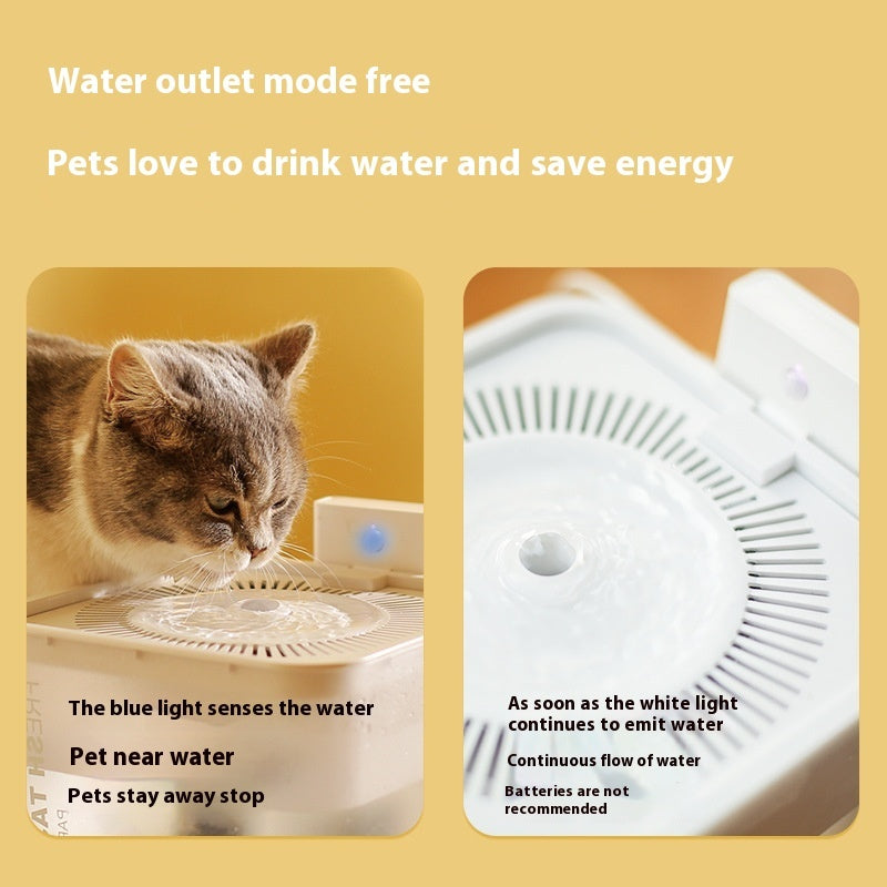Automatic Pet Fountain – Wireless, Clean, and Intelligent Hydration