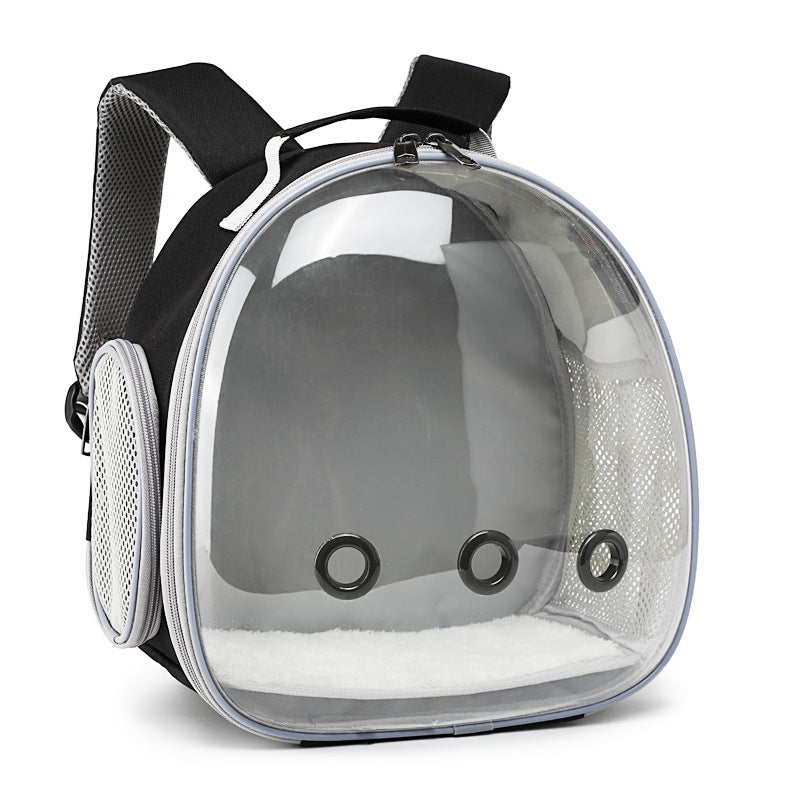 Transparent Pet Backpack. Safe, Cozy Carrier for Small Animals